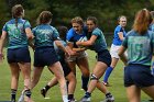 Women's Rugby vs Endicott  Wheaton Women's Rugby vs Endicott College.  Photo by Keith Nordstrom : Wheaton, Rugby, Endicott